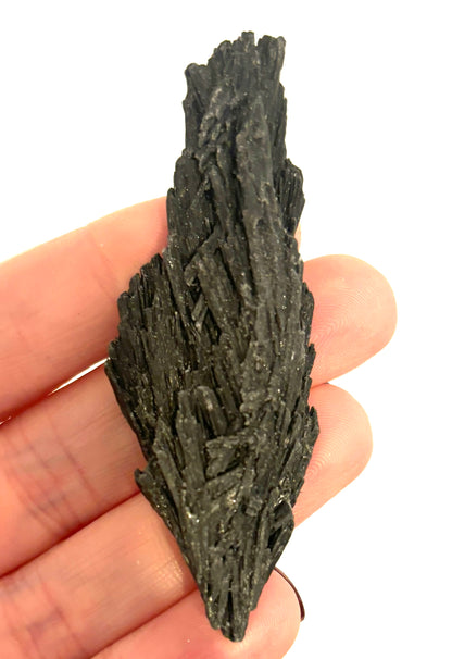 Black Kyanite Raw (Brazil)