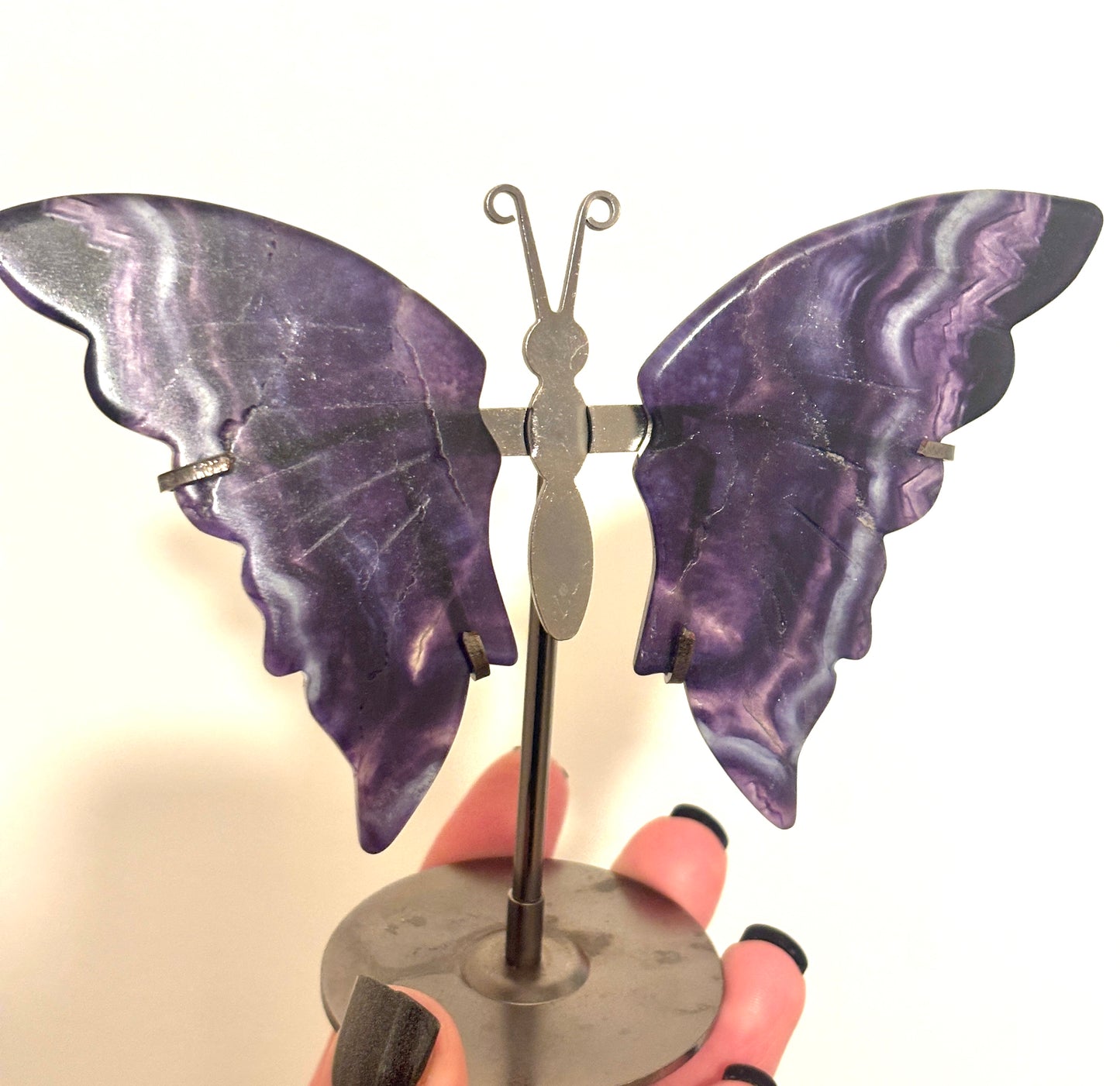 Deep Purple Fluorite Banded Butterfly Wings